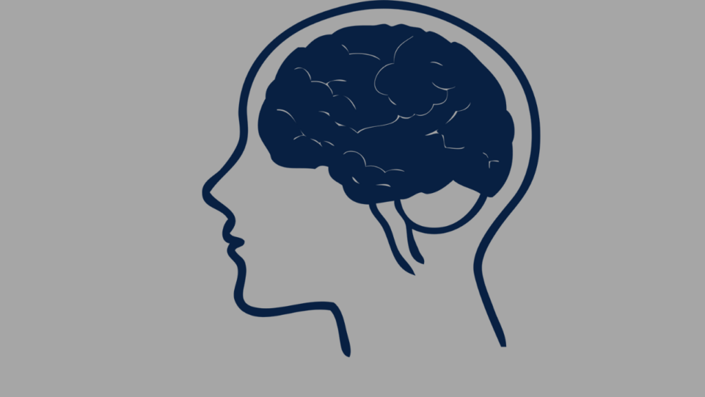 The Brain's Role in Emotions